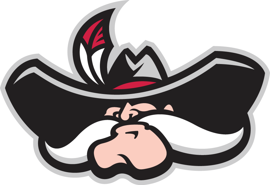 UNLV Rebels 2006-Pres Secondary Logo diy iron on heat transfer